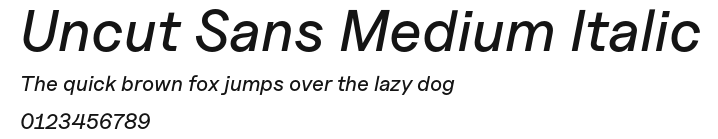 Uncut Sans Medium Italic Preview