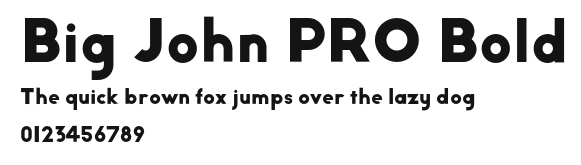Big John PRO Bold Preview