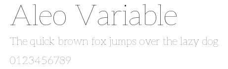 Aleo Variable Preview