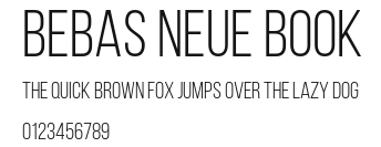 Bebas Neue Book Preview