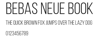 Bebas Neue Book Preview