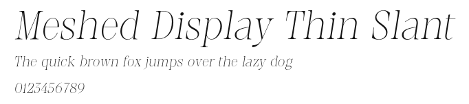 Meshed Display Thin Slant Preview