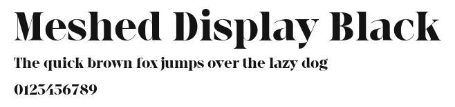 Meshed Display Black Preview