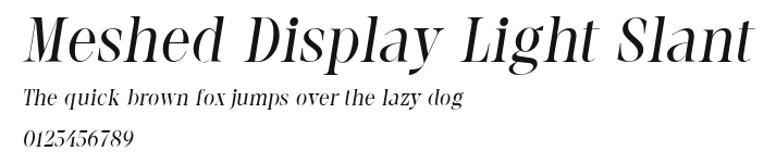 Meshed Display Light Slant Preview