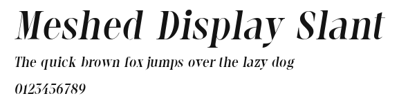 Meshed Display Slant Preview