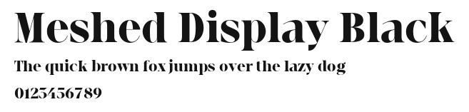 Meshed Display Black Preview