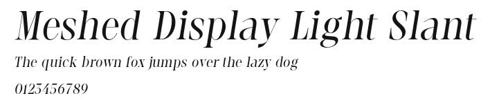 Meshed Display Light Slant Preview