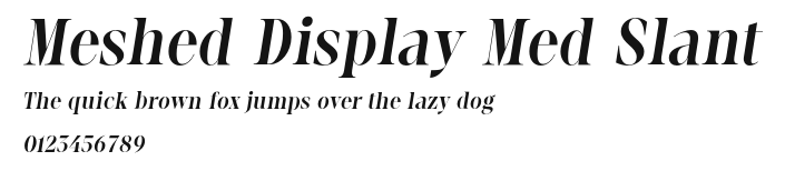 Meshed Display Med Slant Preview