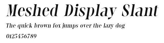 Meshed Display Slant Preview