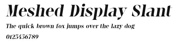 Meshed Display Slant Preview