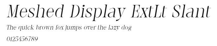 Meshed Display ExtLt Slant Preview