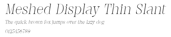 Meshed Display Thin Slant Preview