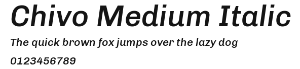 Chivo Medium Italic Preview