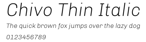 Chivo Thin Italic Preview