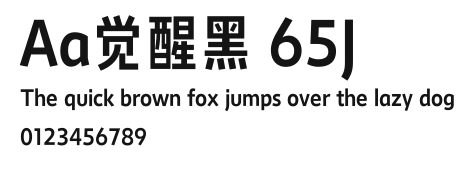 Aa觉醒黑 65J Preview