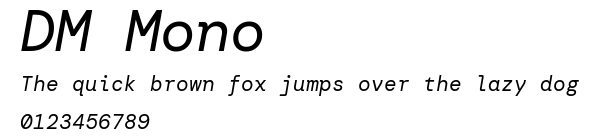 DM Mono.ttf