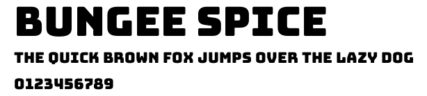 Bungee Spice.ttf