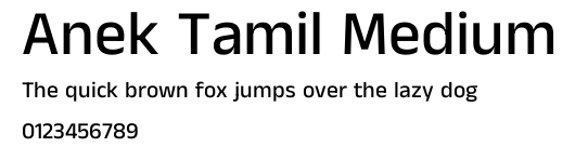 Anek Tamil Medium.ttf