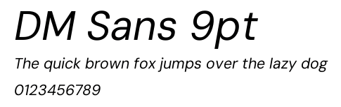 DM Sans 9pt.ttf