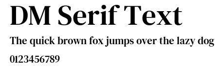DM Serif Text.ttf