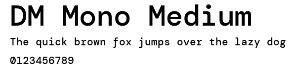 DM Mono Medium.ttf