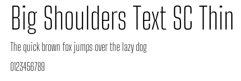 Big Shoulders Text SC Thin.ttf