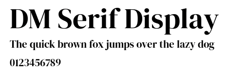 DM Serif Display.ttf