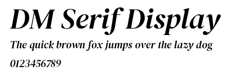 DM Serif Display.ttf